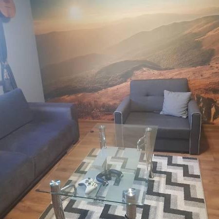Apartament Folkowy Wujek Pod Gromadzyniem 우스트르치키 돌네 외부 사진