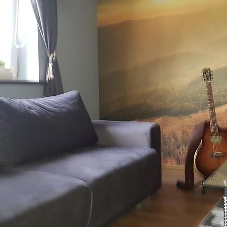 Apartament Folkowy Wujek Pod Gromadzyniem 우스트르치키 돌네 외부 사진