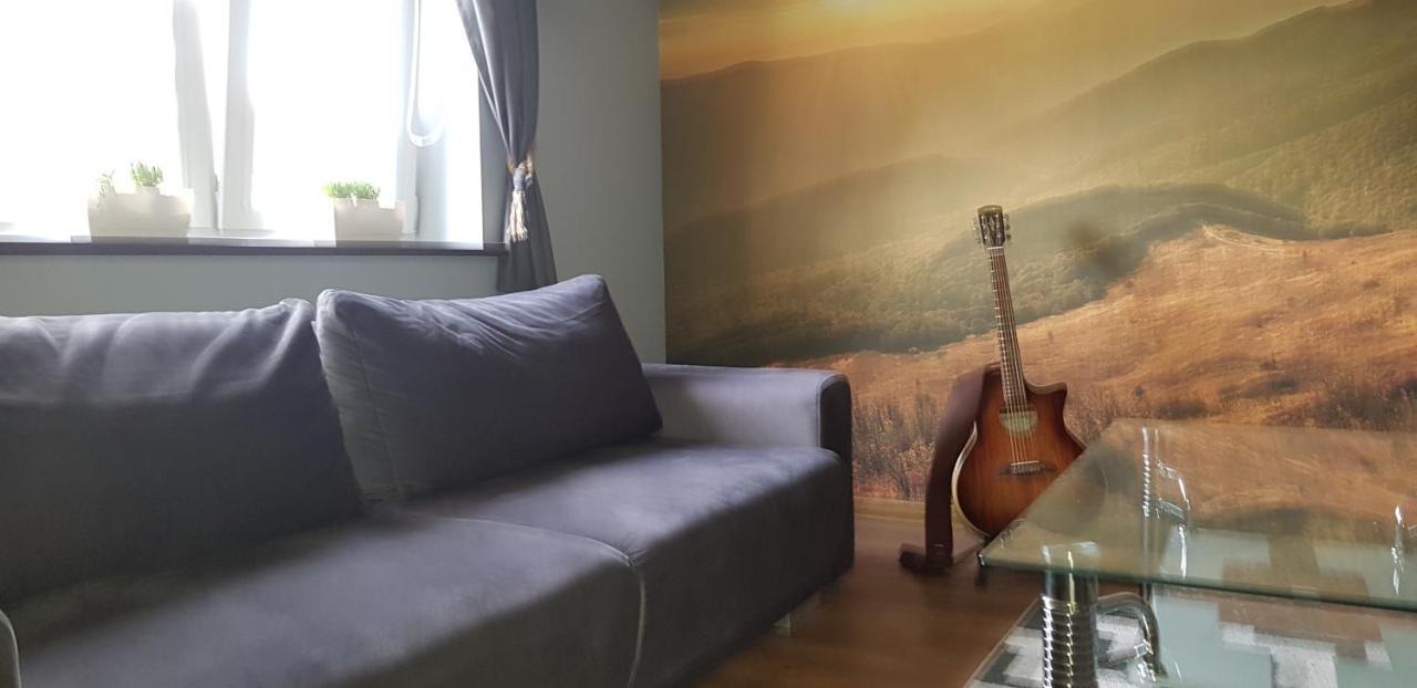 Apartament Folkowy Wujek Pod Gromadzyniem 우스트르치키 돌네 외부 사진